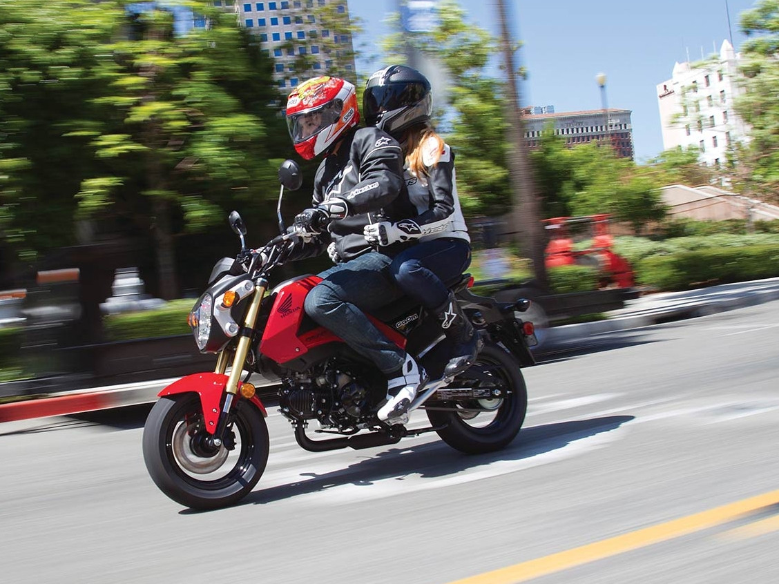 Honda Grom.jpg