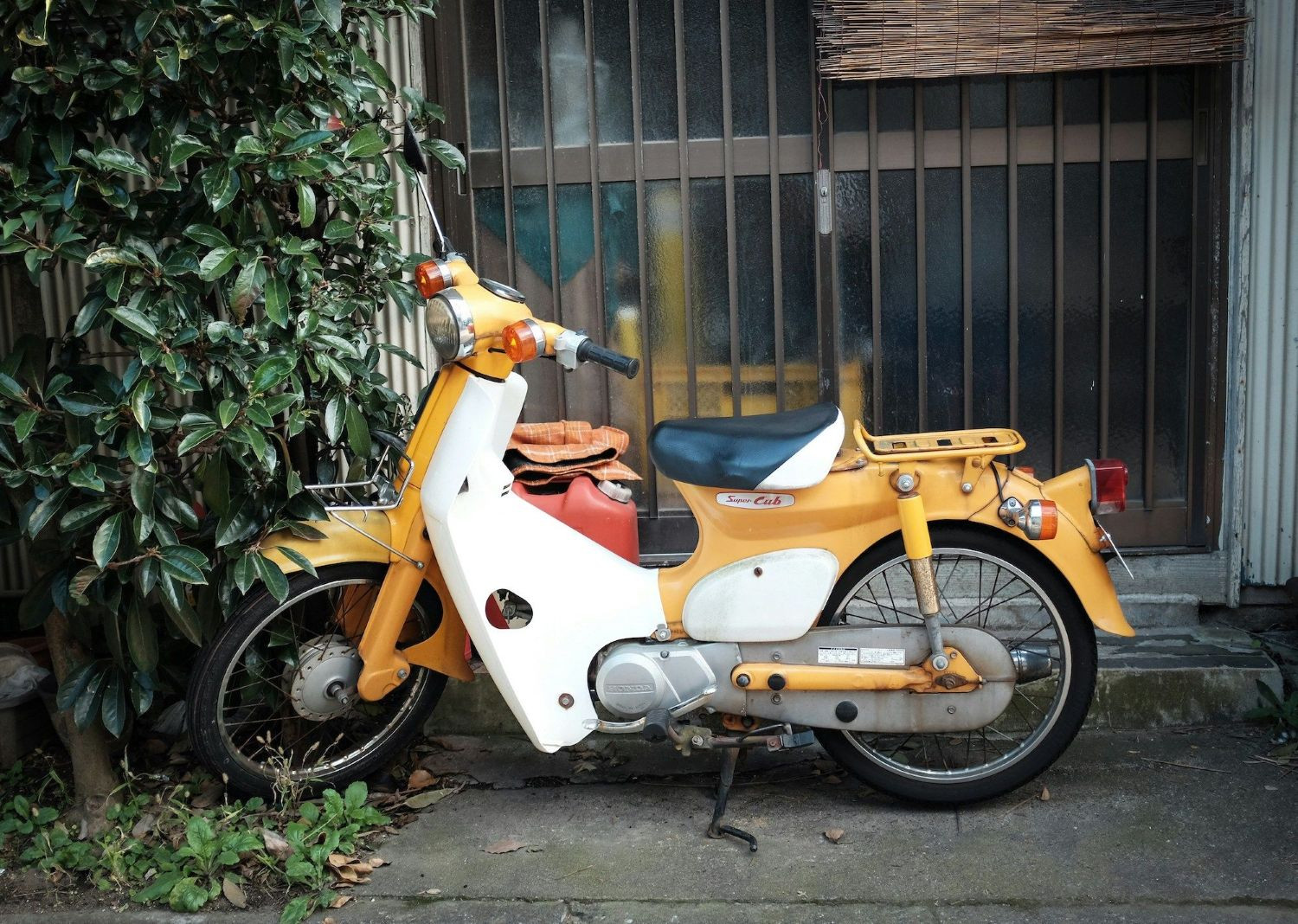 Honda Super Cub.jpg