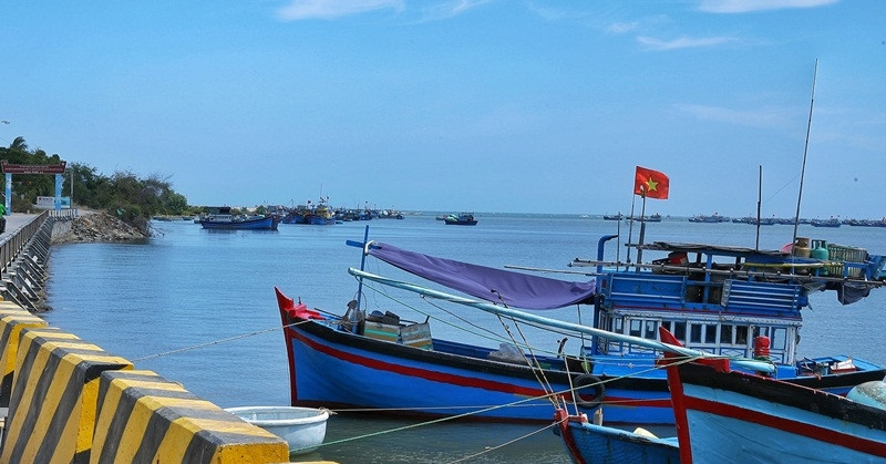 Ninh Thuận Mở Ra Cơ Hội Vàng: Ưu Đãi Vay Vốn Nuôi Trồng Hải Sản Công Nghệ Cao