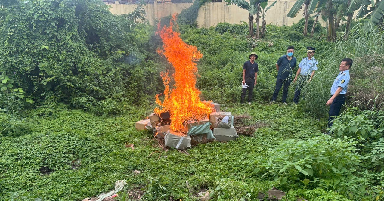 TPHCM tiêu hủy hơn 50 tấn nội tạng không rõ nguồn gốc trị giá gần 4,5 tỷ đồng