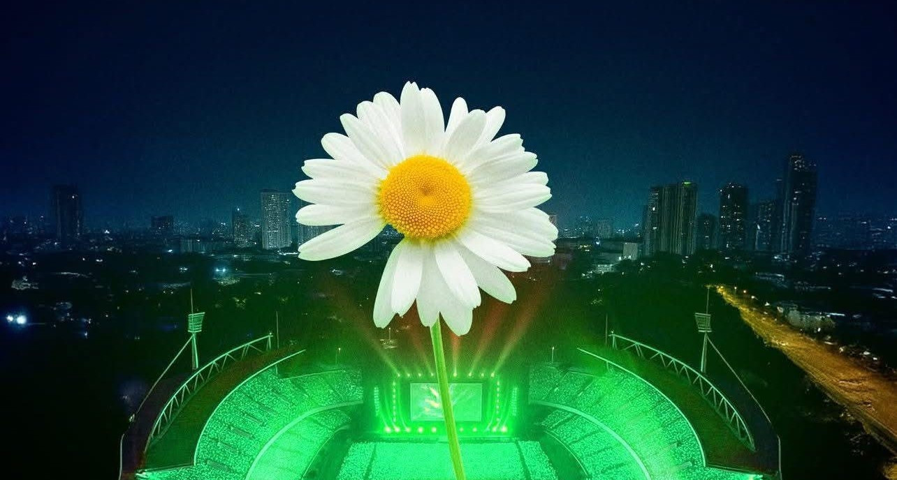 Vì sao những ngày này mở Facebook ra là thấy hoa cúc khuyết cánh?