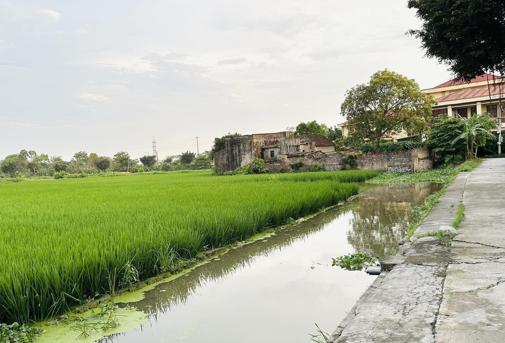 Lưu ý quan trọng khi người dân muốn xây nhà trên đất nông nghiệp