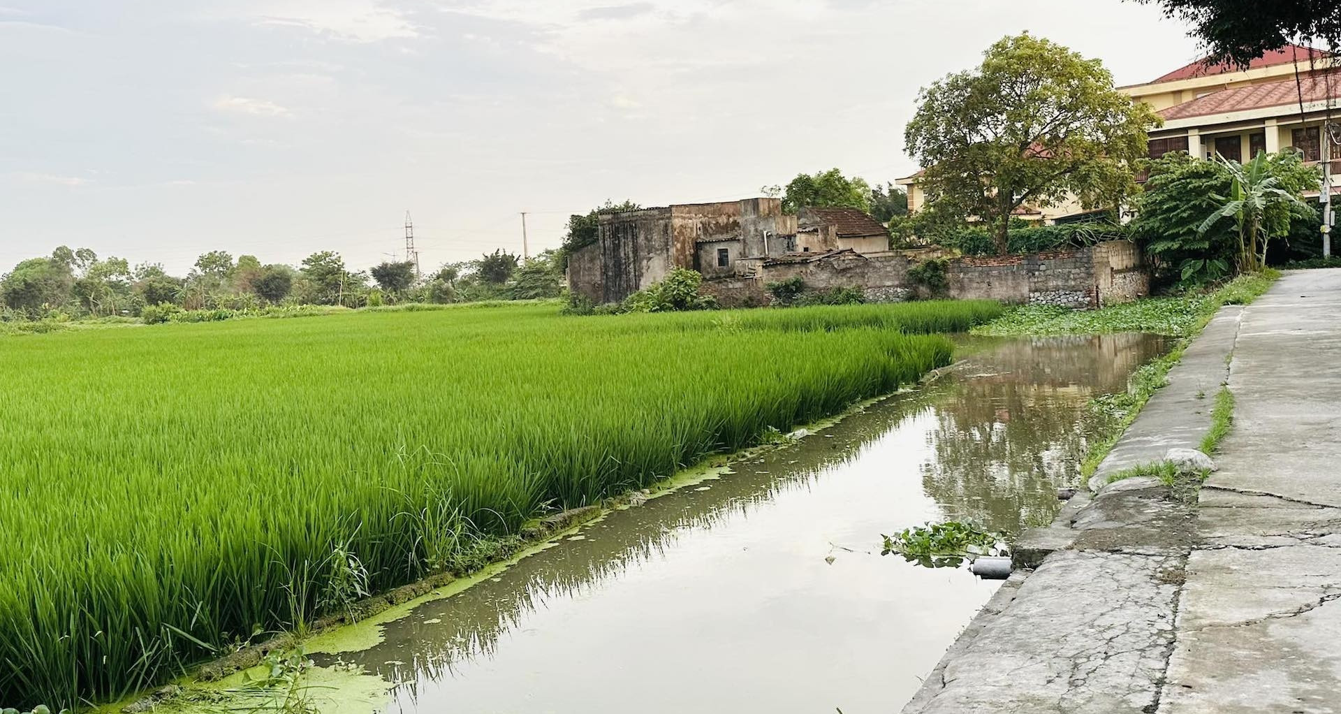 Lưu ý quan trọng khi người dân muốn xây nhà trên đất nông nghiệp