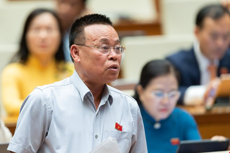 Nguyễn Như So BN.jpg