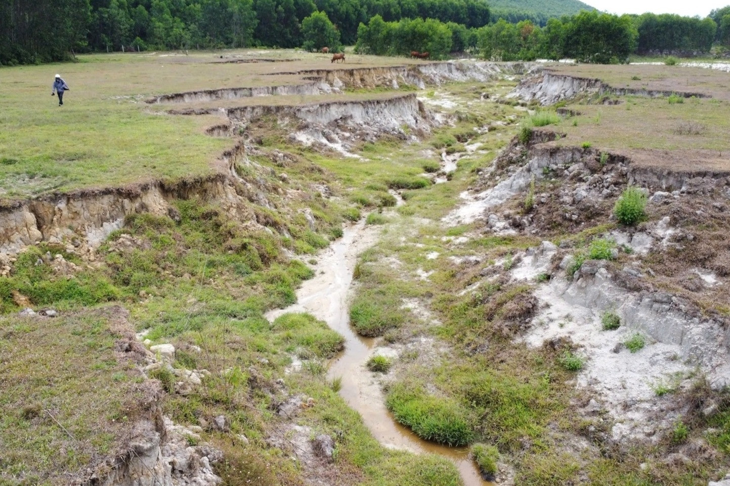 Khai thác khoáng sản xong DN 'đòi' phá sản, để lại đồng ruộng bị xé toạc