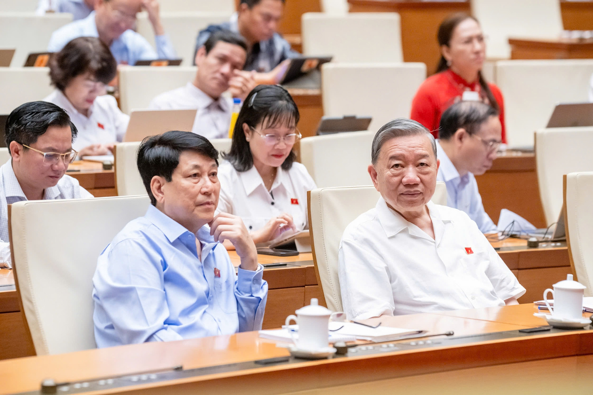 Một cụm từ và tư duy về 'tính đa dạng trong sự thống nhất' của Hiến pháp