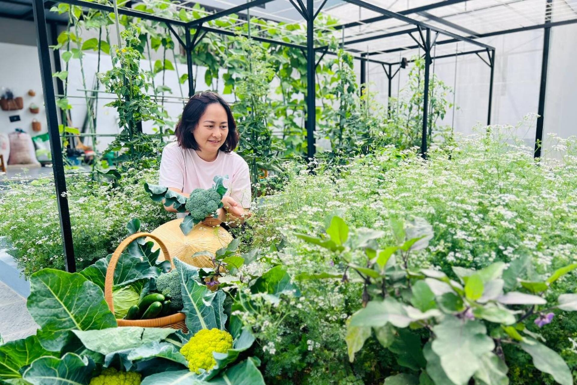 Người phụ nữ ở Sơn La biến khu đất 200m2 ngập rác thành vườn sum sê rau trái