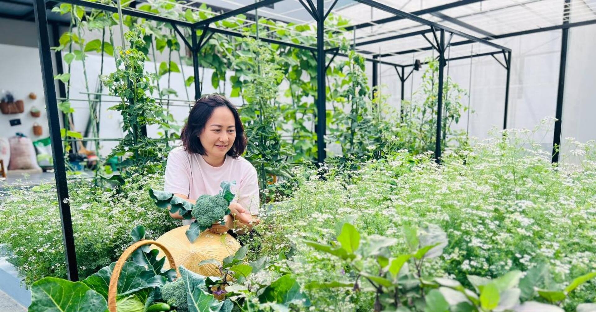 Người phụ nữ ở Sơn La biến khu đất 200m2 ngập rác thành vườn sum sê rau trái