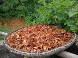 quả tai chua dung ma thi 1.png