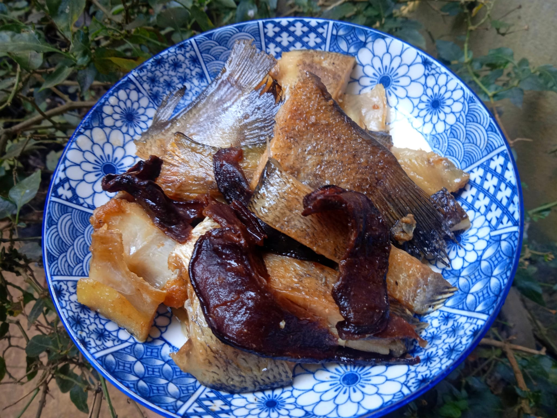 quả tai chua dung ma thi 2.png