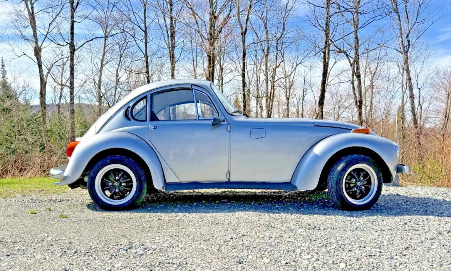 VW Beetle 3.webp
