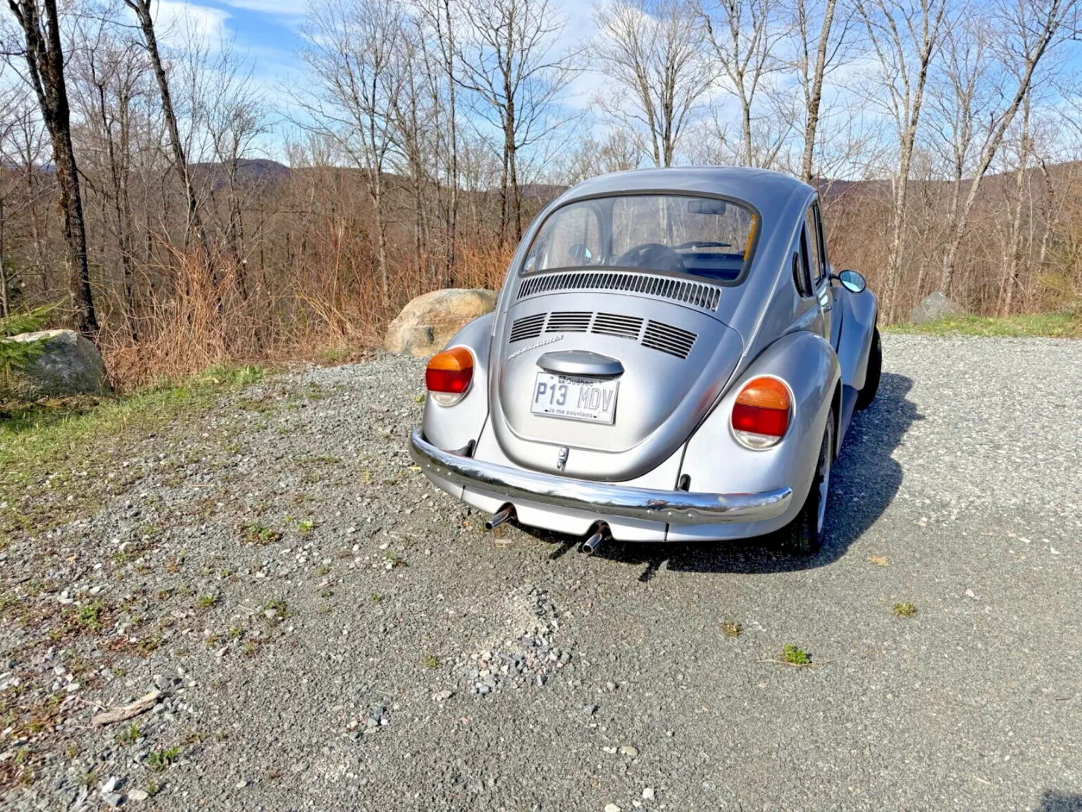 VW Beetle 4.webp