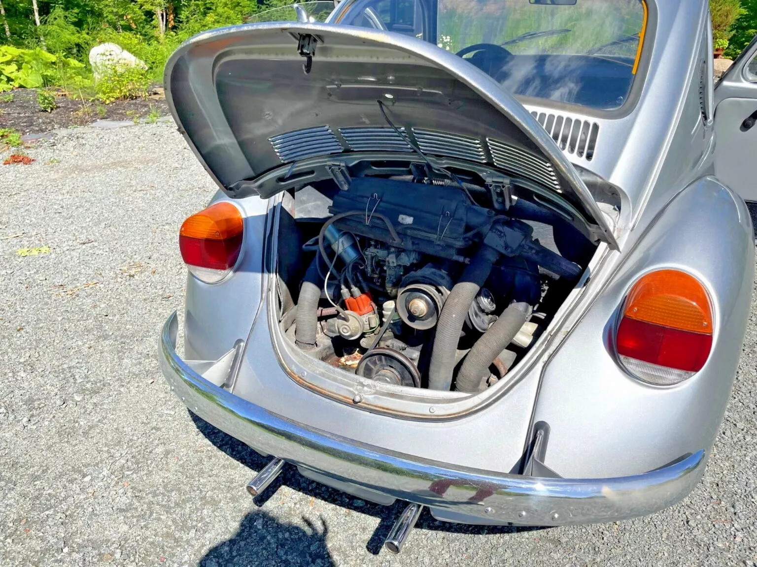VW Beetle 6.webp