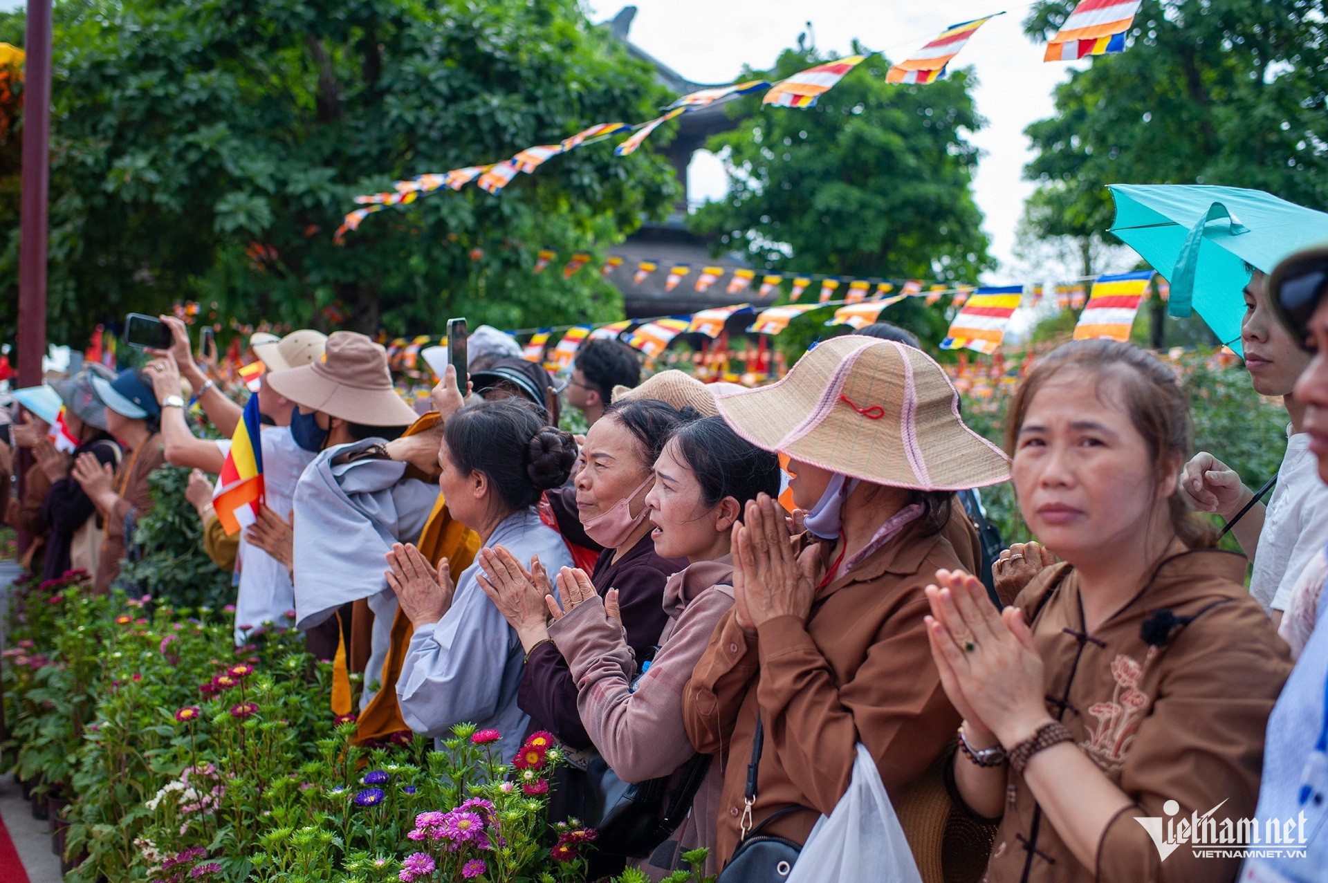 W-Anh 7.jpg