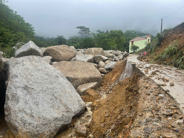 z6613014049082 8b7aff3392551ea302d853a32222dd6e.jpg