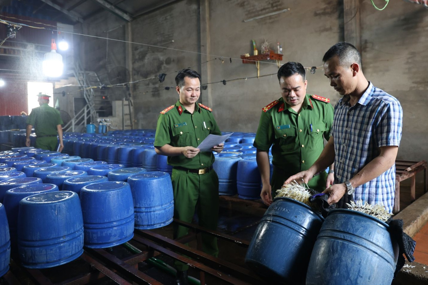 Khởi tố chủ cơ sở sản xuất 60 tấn giá đỗ 'ngậm' chất kích thích tăng trưởng
