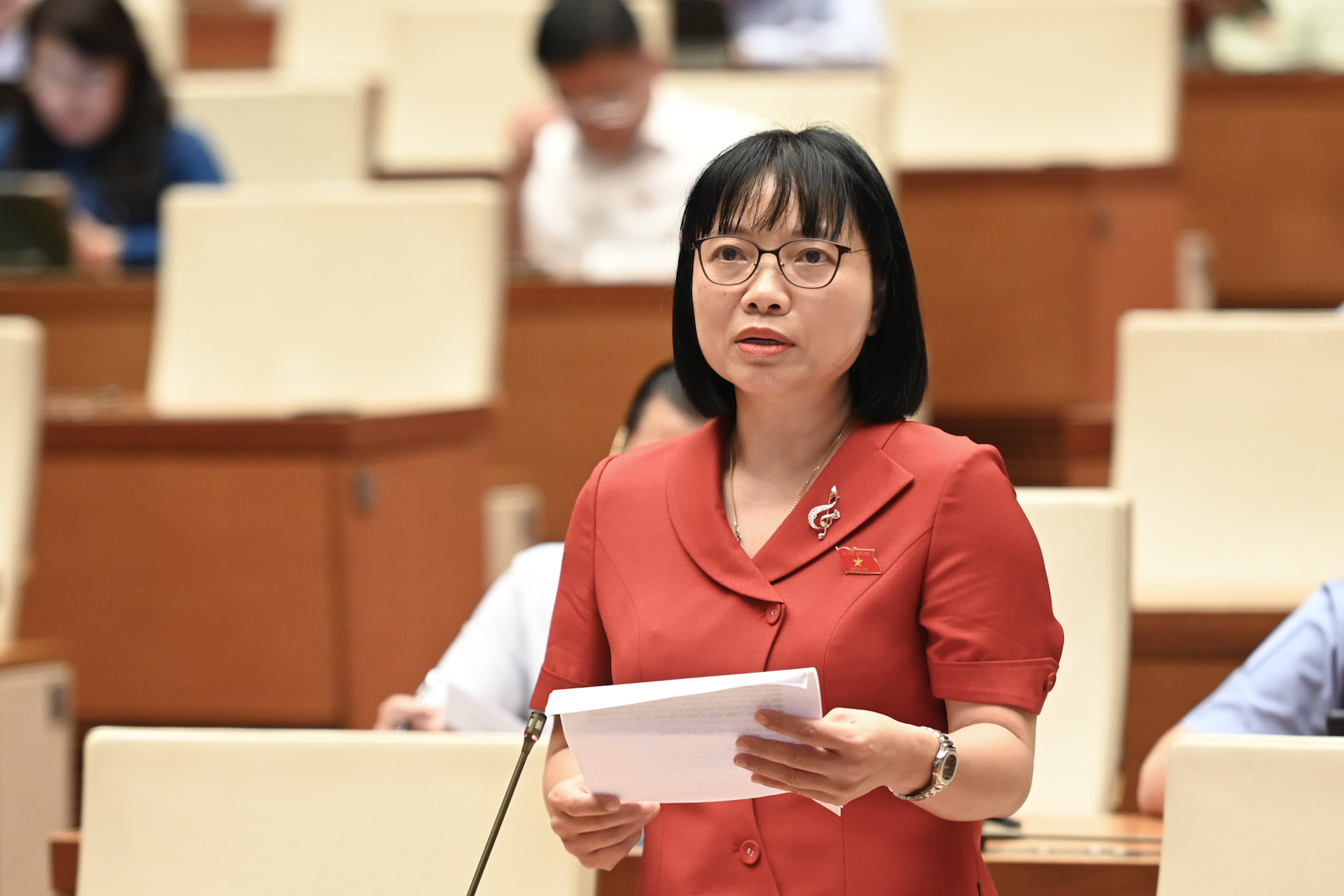 Nguyễn thị việt nga hải dương.JPG