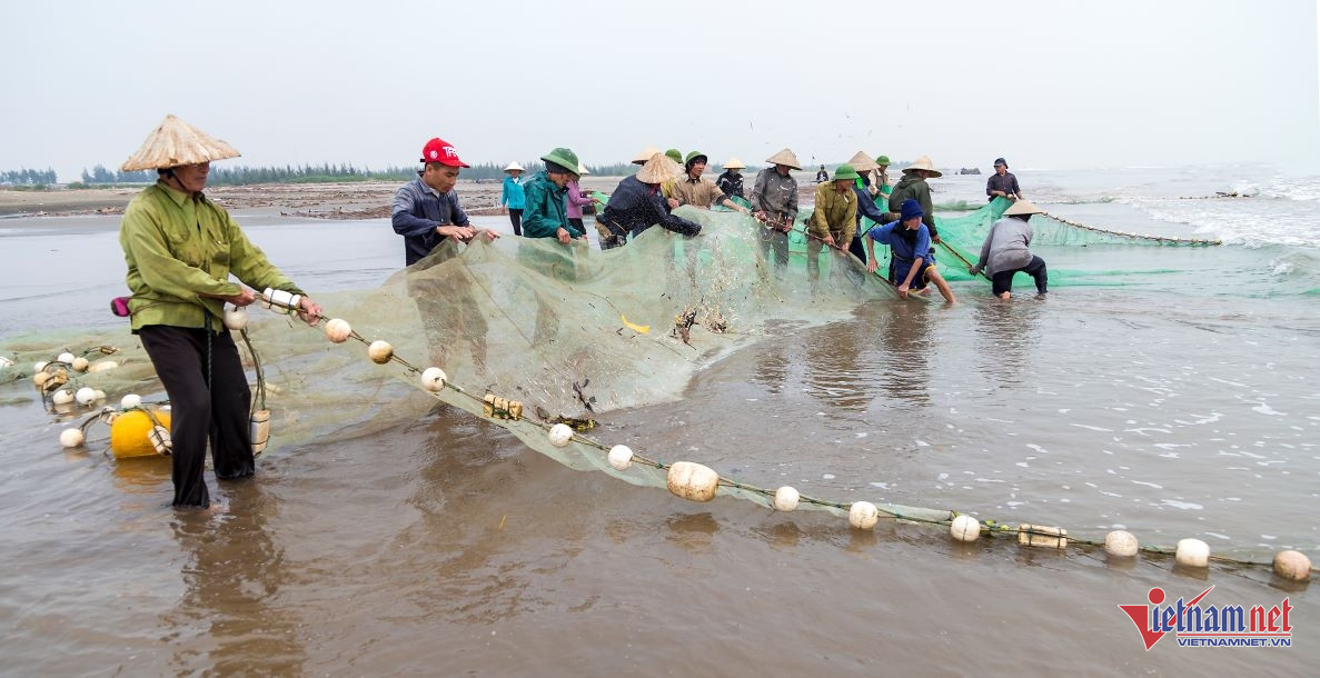W-anh bai de an nam dinh chuan.jpg