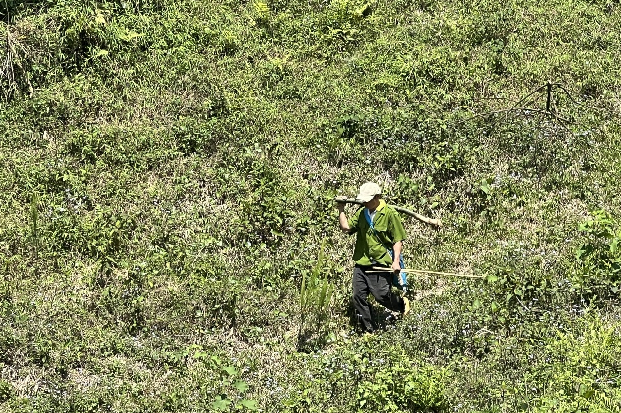 Cần cơ chế tốt hơn để người dân miền núi sống được nhờ rừng