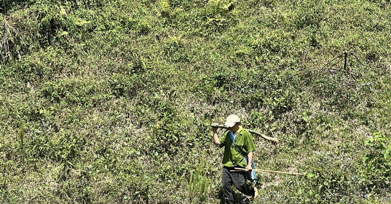 Cần cơ chế tốt hơn để người dân miền núi sống được nhờ rừng