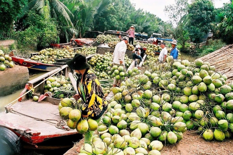 Loại quả Việt Nam có 2 triệu tấn, khách Mỹ và Trung Quốc tranh mua để giải nhiệt