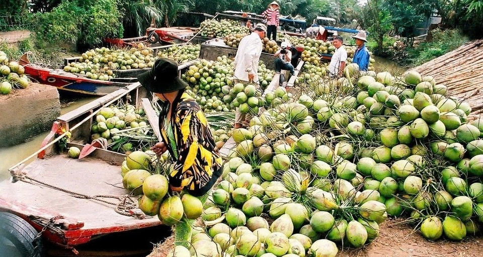 Loại quả Việt Nam có 2 triệu tấn, khách Mỹ và Trung Quốc tranh mua để giải nhiệt