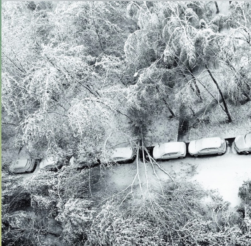 Tuyết phủ trắng Moscow. Ảnh: Moscow Times