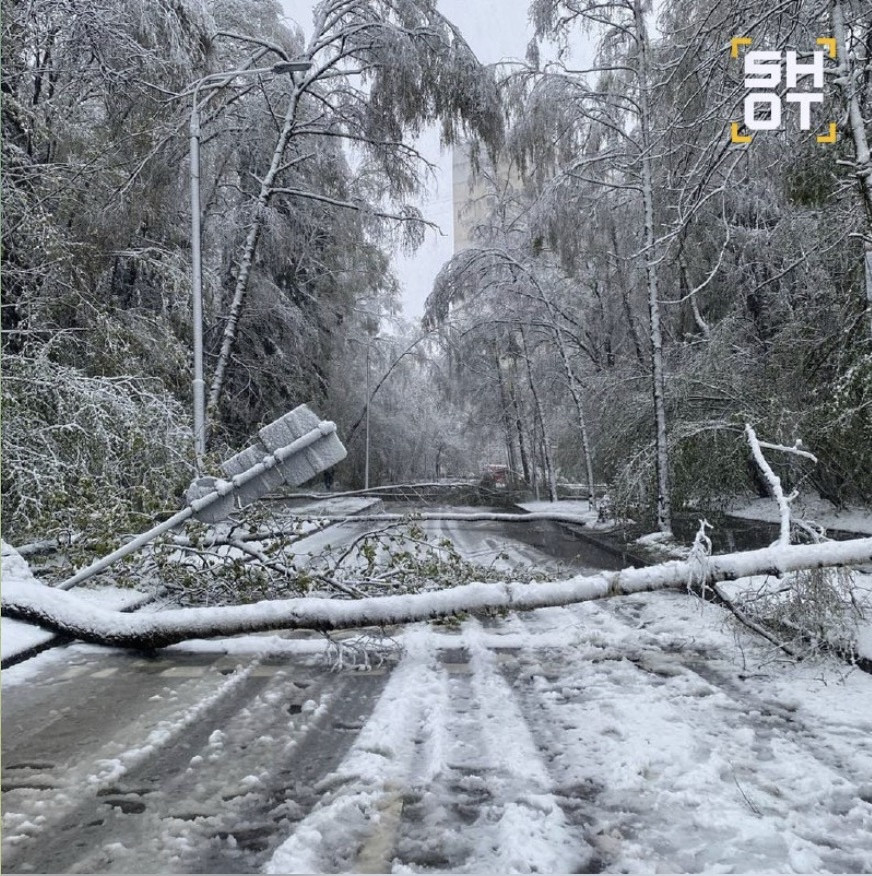 Tuyết phủ trắng Moscow. Ảnh: Moscow Times
