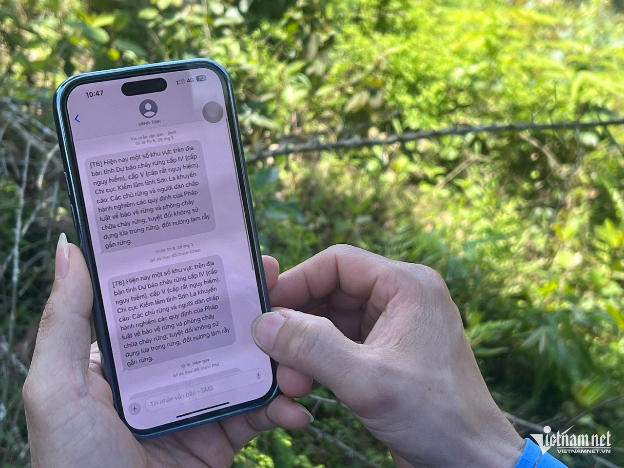 W-Canh bao chay rung.jpg