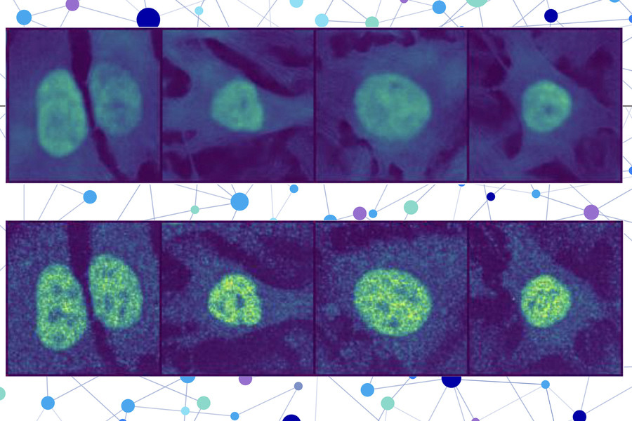 AI giúp dự đoán vị trí của protein trong tế bào người 1 Ảnh bài 38.jpg