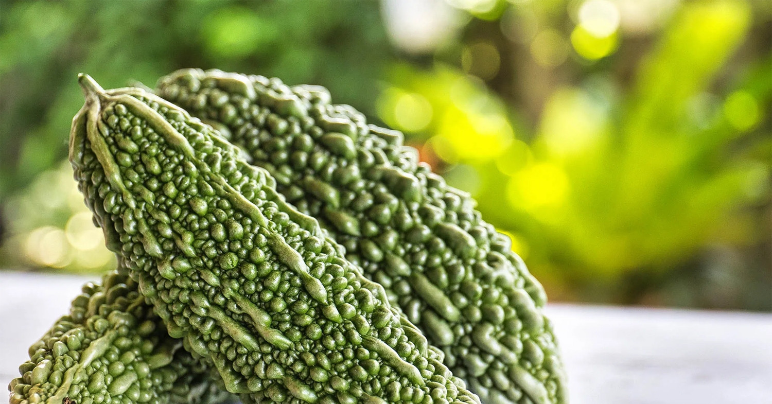 Loại quả đắng ngắt được người dân đảo trường thọ ở Nhật ưa chuộng