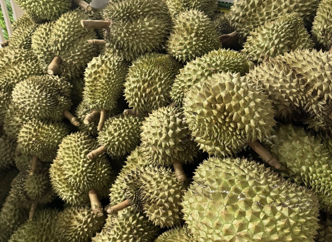 Sau rieng