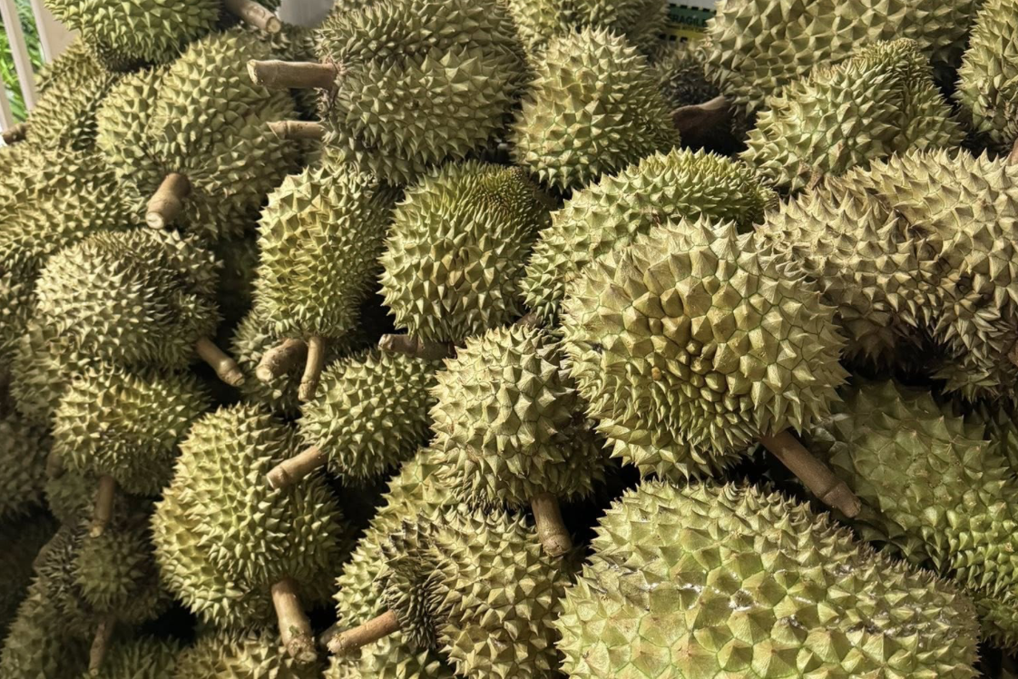 Sầu riêng gặp 'báo động đỏ' từ Trung Quốc, Chủ tịch hiệp hội gửi tâm thư đến Bộ trưởng