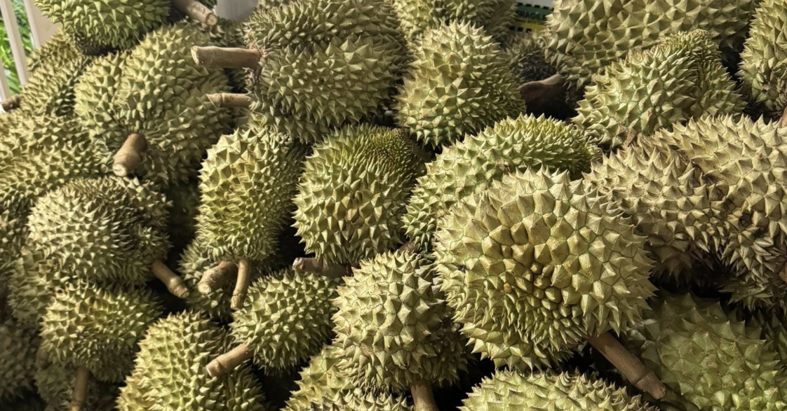 Sầu riêng gặp "báo động đỏ" từ Trung Quốc, Chủ tịch hiệp hội gửi tâm thư đến Bộ trưởng