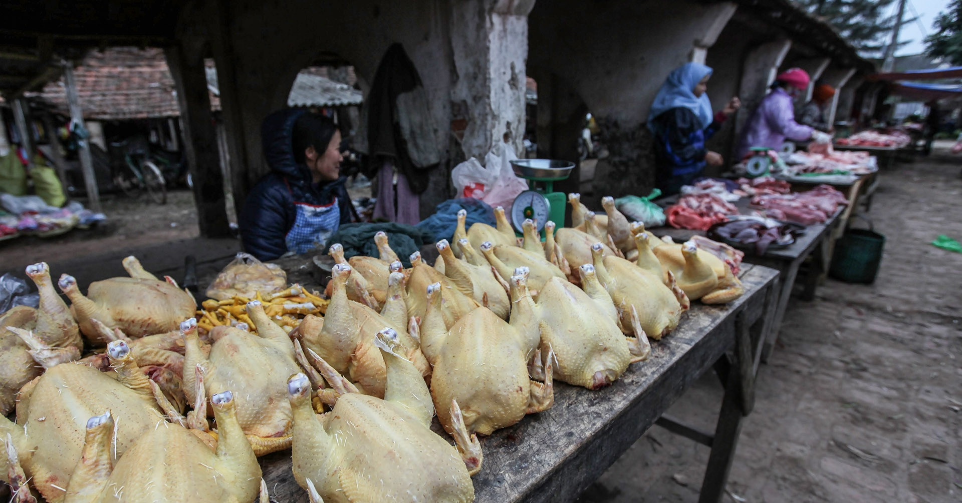 Bộ NN&MT mở đợt "truy quét" việc lạm dụng chất kích tăng trưởng, tăng trọng