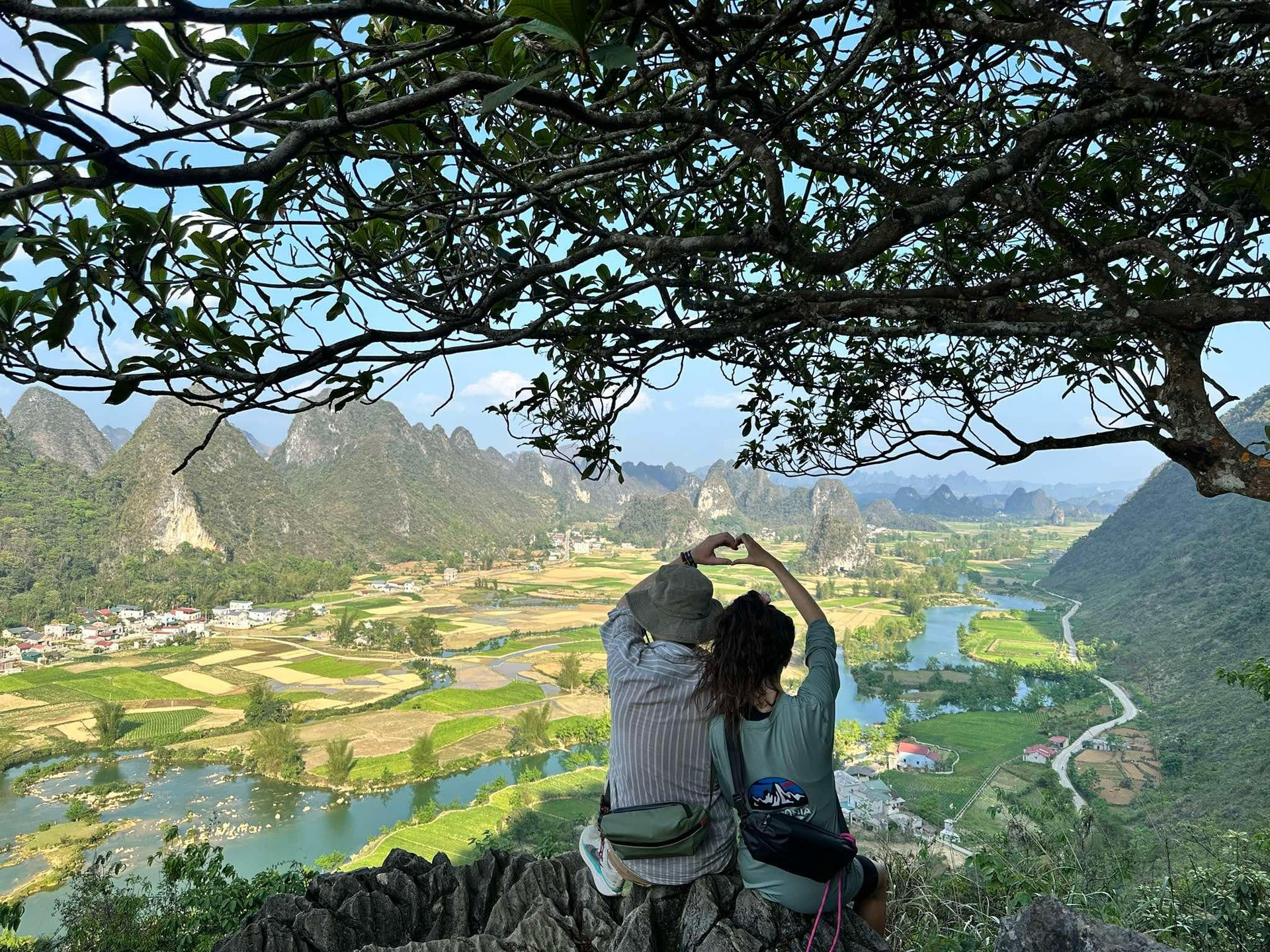 e5877670 e9ff 4e8c b386 060673073ec2.jpeg