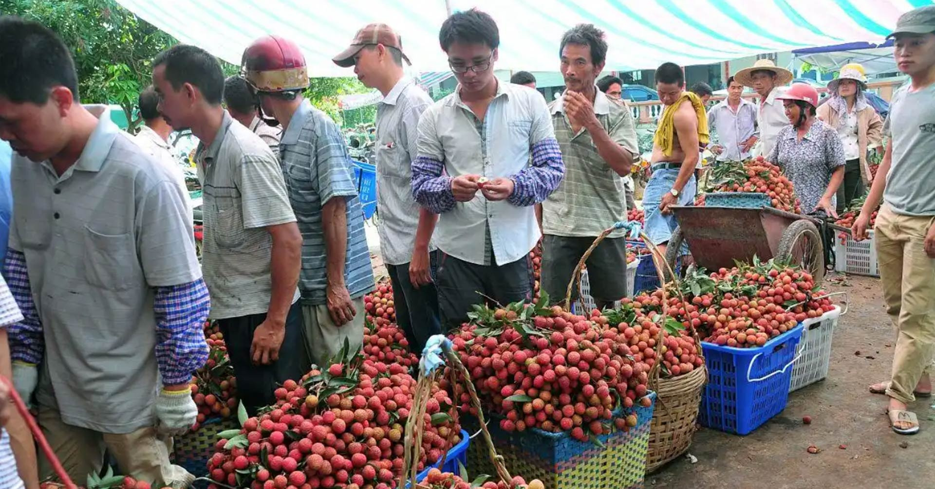 Loạt trái cây quý tộc Trung Quốc giảm giá sâu, có loại quả "ba mùa đổ bộ một lúc"