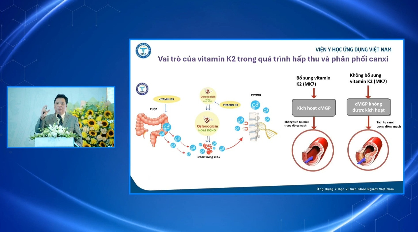 vitamin 001 (3).jpg