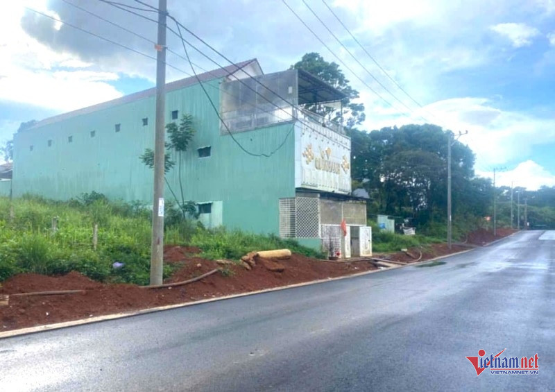 W-Án mạng từ cái nhìn.jpg