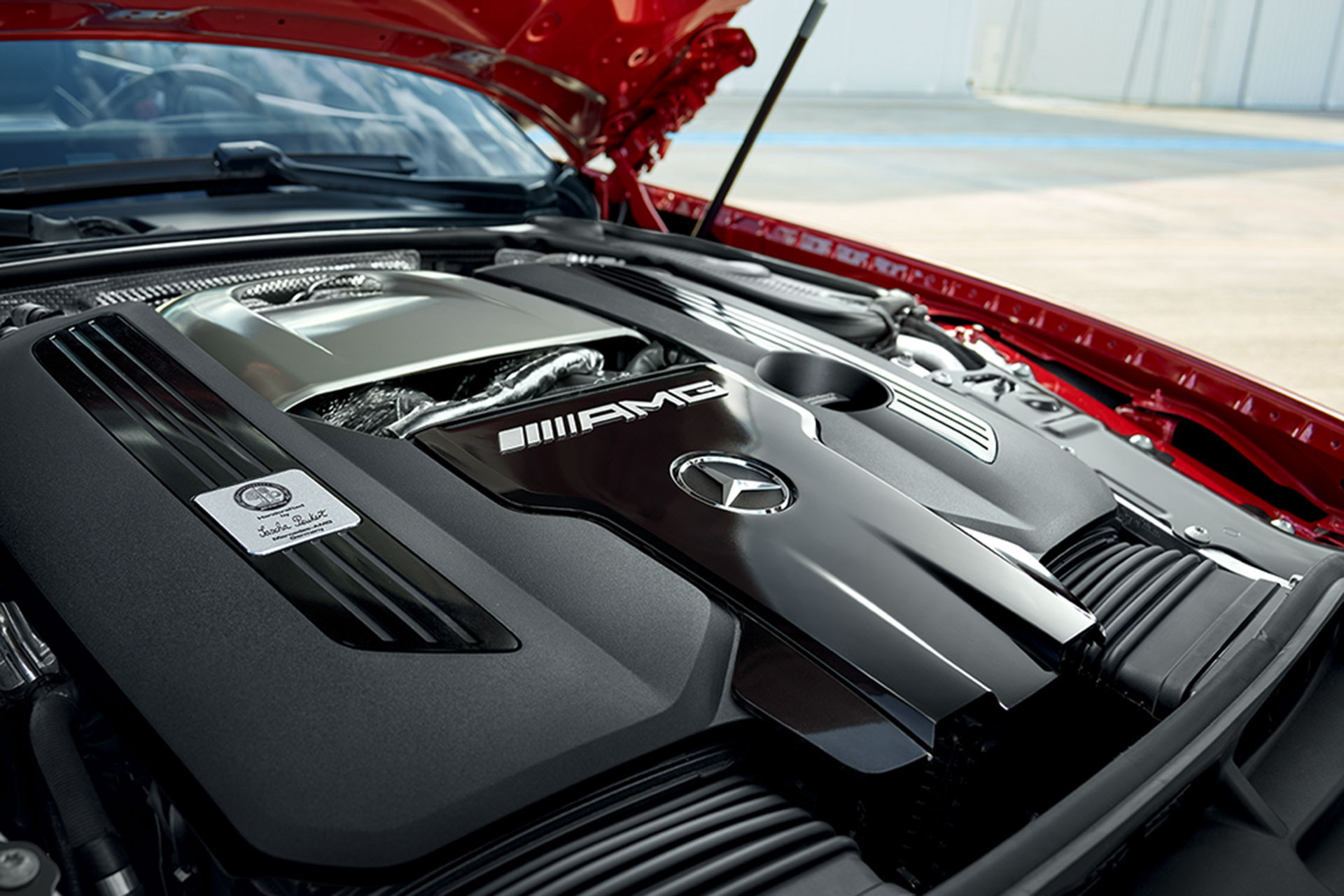 3857982_amg038014.jpg original.jpg