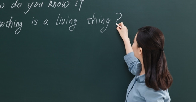 Nguyên nhân phức tạp về "làn sóng" giáo viên mu...