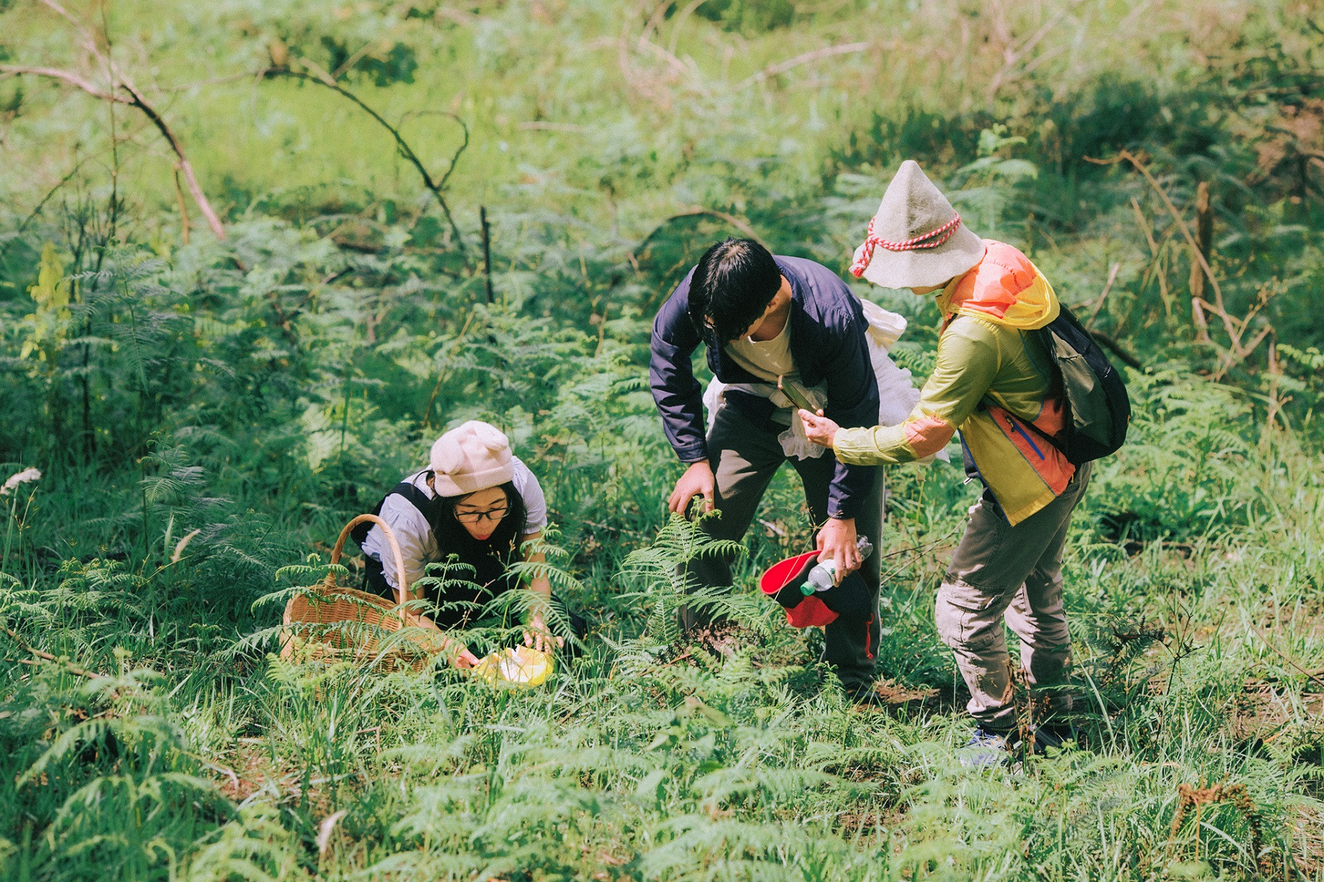 tour hái nấm đà lạt