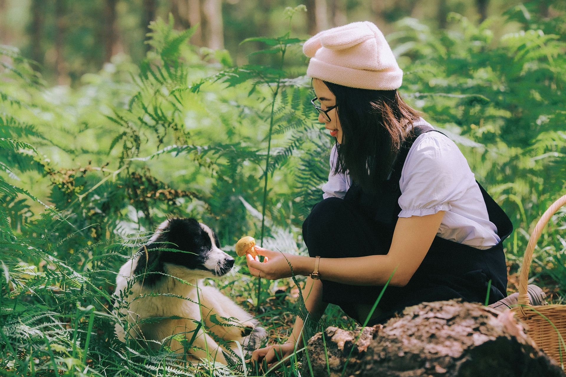 tour hái nấm đà lạt