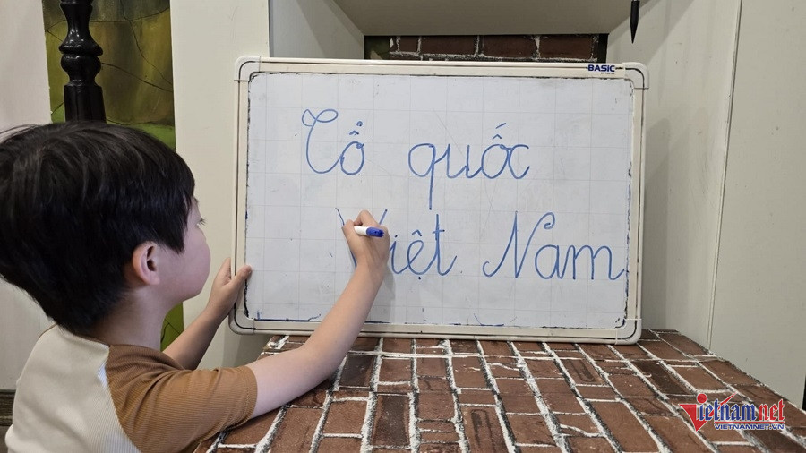 W-793e369b 19c4 467c b245 c8d45b0f63b6.jpg