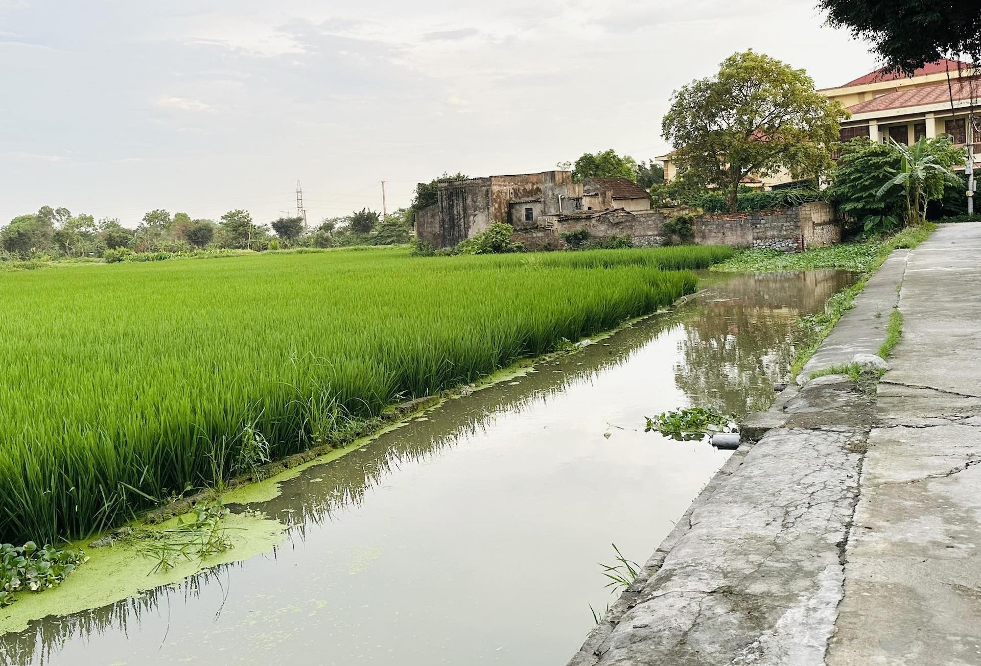 Bị từ chối chuyển đổi 4.908m² đất vì 521m² vướng lộ giới: Người dân hỏi 'có hợp lý?'