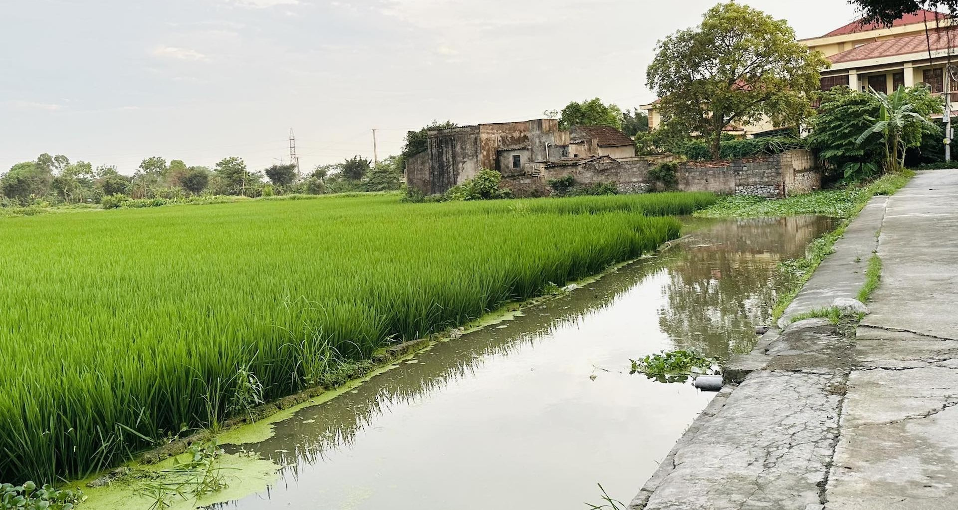 Bị từ chối chuyển đổi 4.908m² đất vì 521m² vướng lộ giới: Người dân hỏi "có hợp lý?"