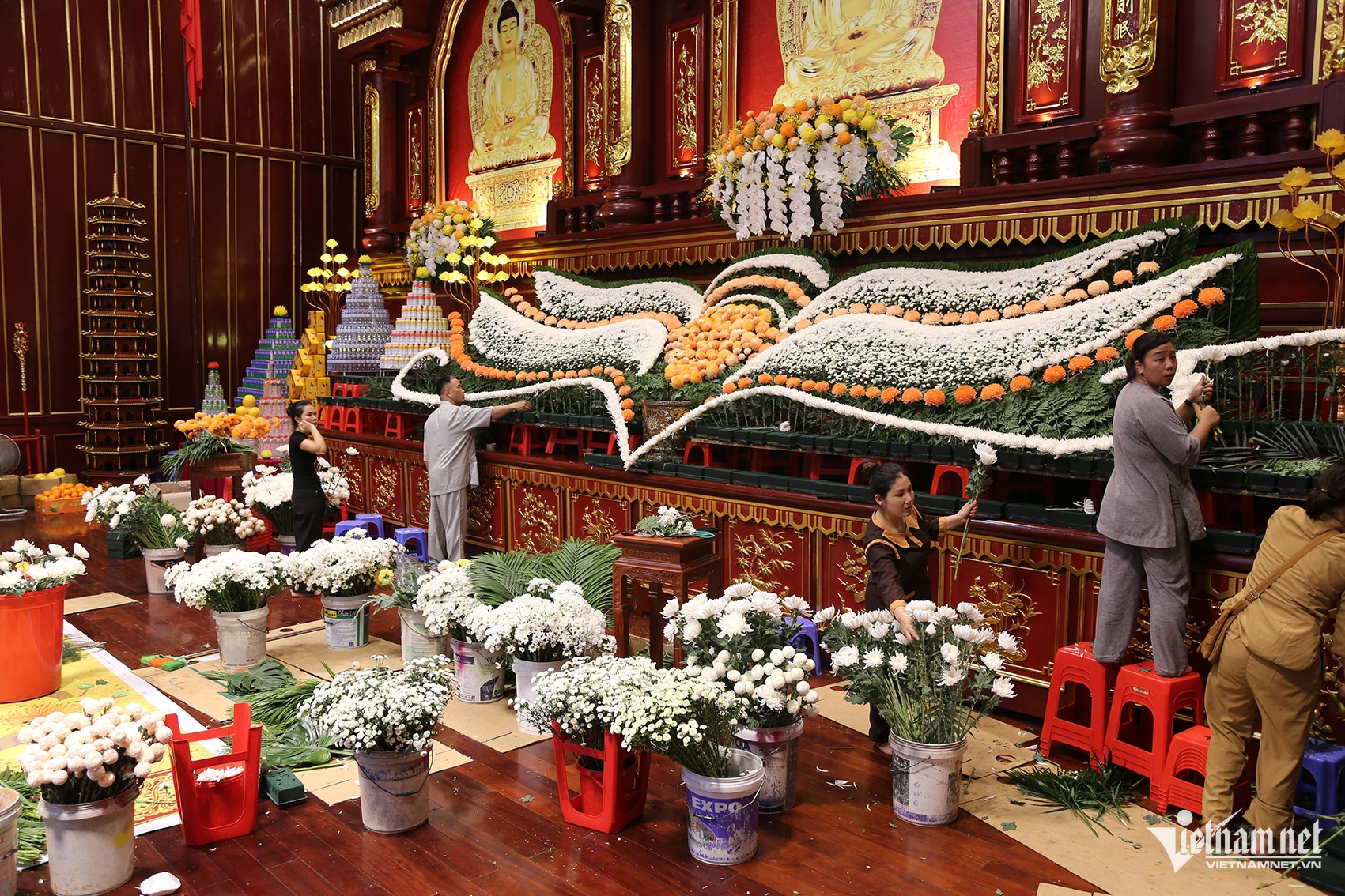 W-Ảnh 8.JPG.jpg
