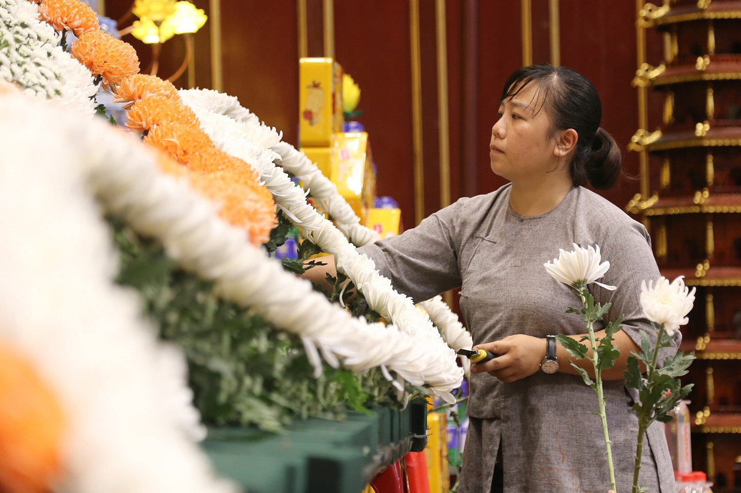 w anh 6jpg 85469.jpeg