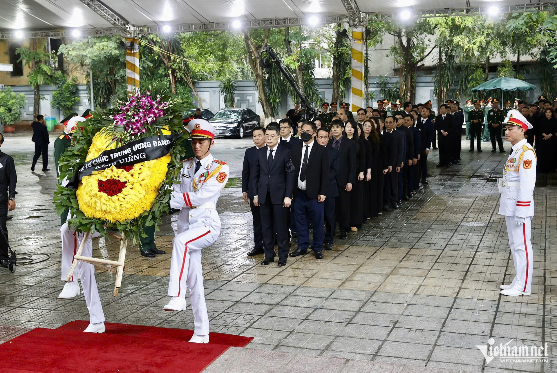 W-ban tổ chức tw.jpg