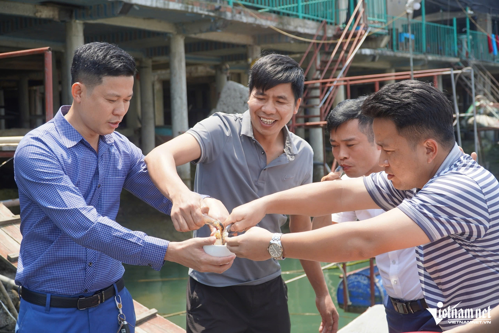 W-Mực vũng áng4.jpg